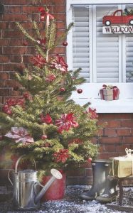 Pot grown tree, Dobbies