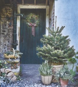 2017dWinter Original