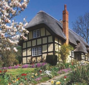 2021a-Spring-Original