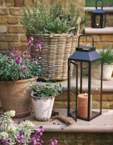 growing a garden for scent