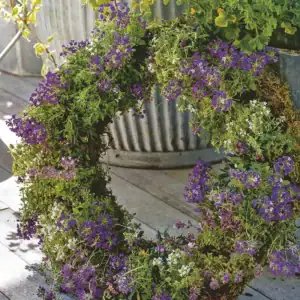 just in thyme