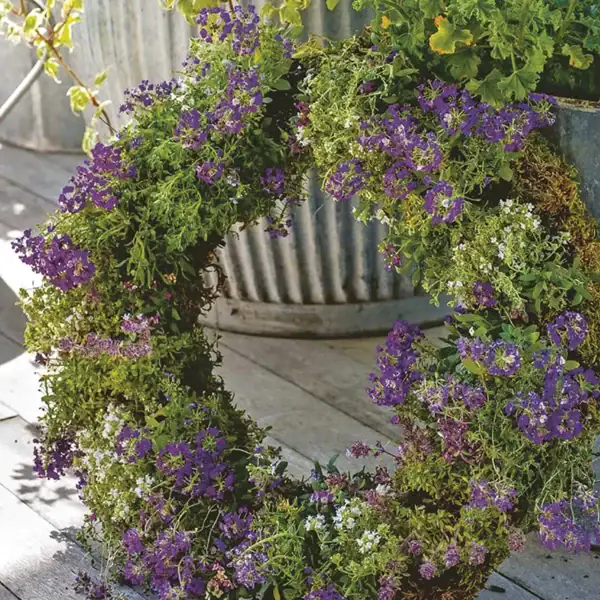 just in thyme