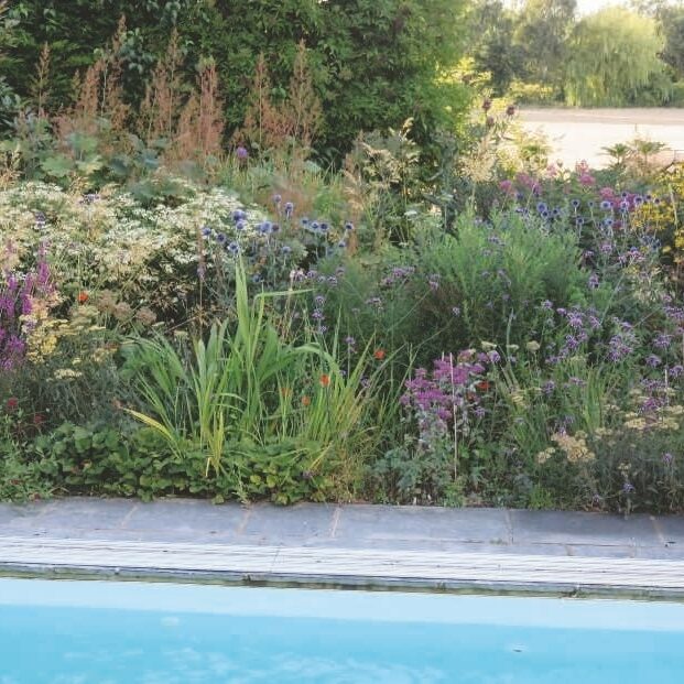 Swimming pool area at the rear of the property (&copy; Mark Lane)